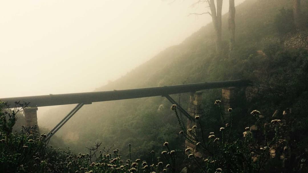 涩谷繁忙的十字路口